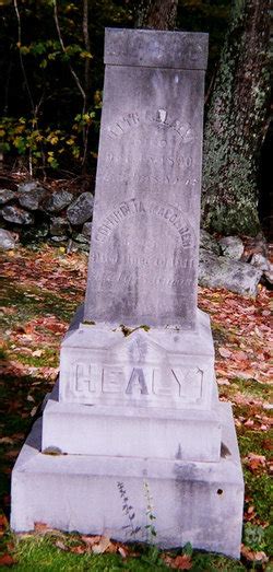 Seth Alden Healy 1831 1890 Find A Grave Memorial