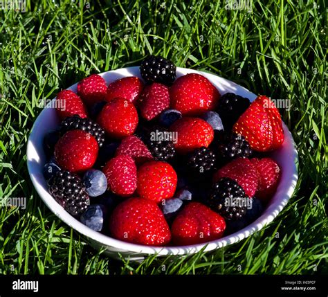 Bowel Of Berries Hi Res Stock Photography And Images Alamy