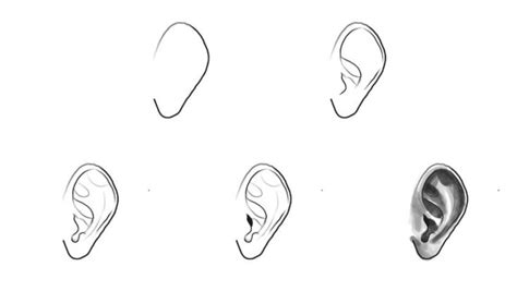 How To Draw An Ear 7 Easy Steps