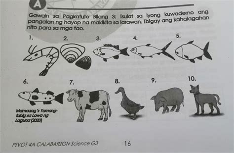 A Gawain Sa Pagkatuto Bilang 3 Isulat Sa Iyong Kuwaderno Ang Pangalan