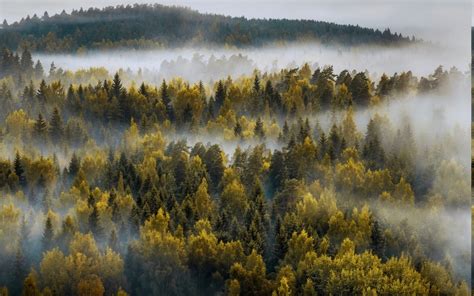 Landscape Nature Mountain Forest Mist Fall Trees Finland