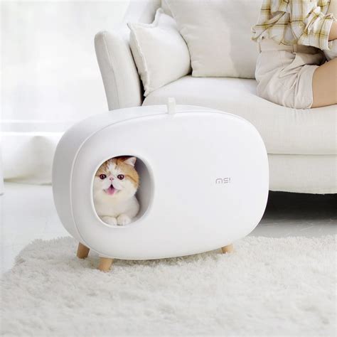 B 猫 Product Of The Week A Cute And Stylish Cat Litter Box