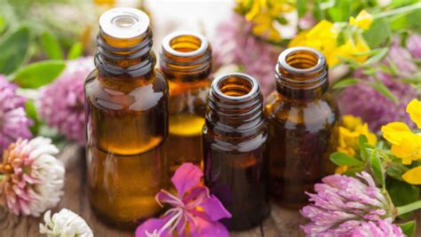 3 Benefits Of Homeopathy Treatments Homeopathy Healing