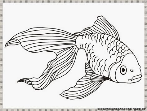 10 Mewarnai Gambar Ikan Mas Fish Clipart Fish Clipart Black And