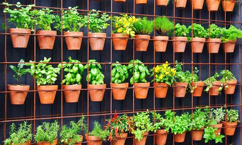 The primary active component is calcium carbonate. Create a Vertical Vegetable Garden