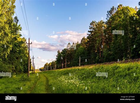 Summer Landscape With View Of Rural Gravel Road Passing Through Forest