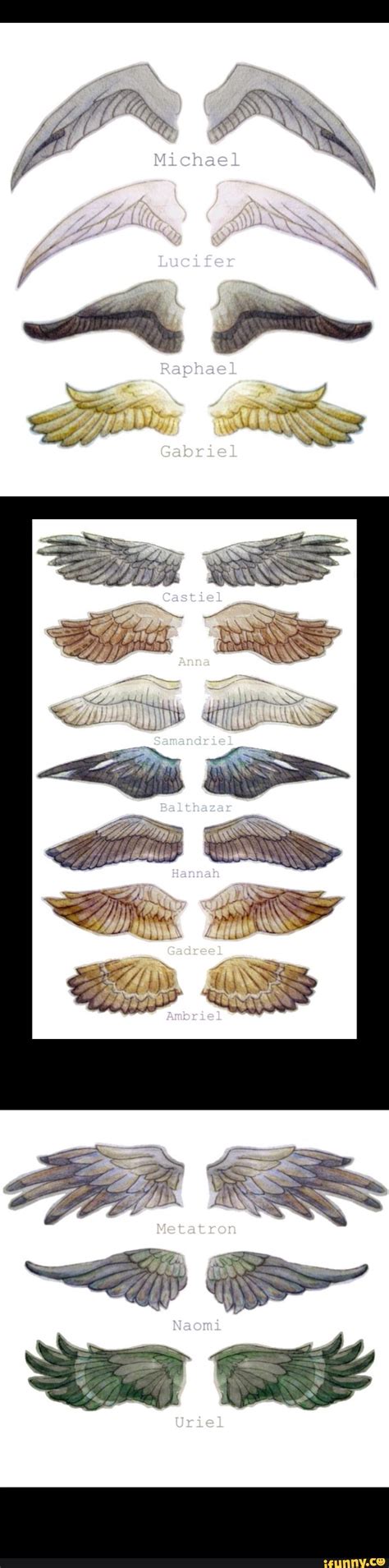 Maybe you would like to learn more about one of these? Supernatural angel wings