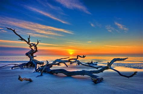 Driftwood Orange Sky Beach Sand Ocean Sunset Blue Hd Wallpaper