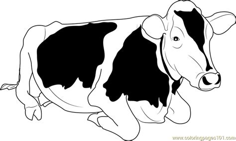 Jersey Cow Coloring Page