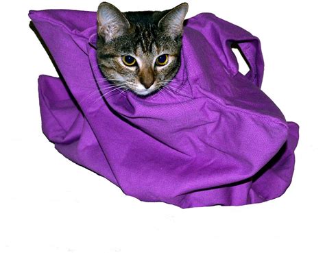 The price of comfortis (spinosad) for cats comes at an already reduced price and it works wonders for my cat! Cat-in-the-bag Cozy Comfort Cat Carrier, Large, Lavender ...