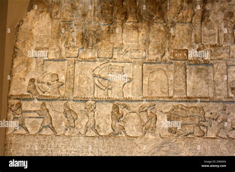Assyrian Relief From Nimrud Circa Th Century Bc Showing Palace