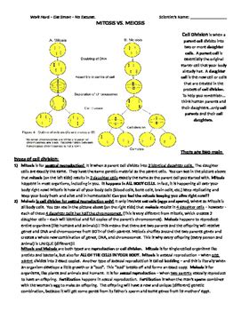 Mitosis Versus Meiosis Reading Comprehension By Bringing Science To Life The Best Porn