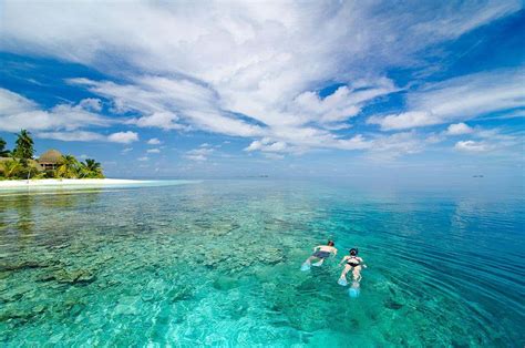 Reis Inspiratie Film Paradijselijke Malediven Vakantiepiraat Be