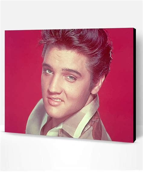 Elvis Presley Smile New Paint By Number Paint By Numbers Pro