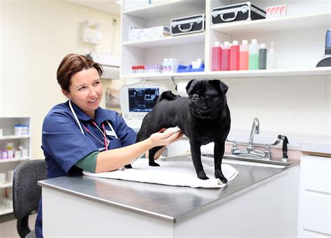 Through wellness exams and preventive care such as vaccinations, spay and neuter surgeries, blood tests, and dental welcome to catoctin veterinary clinic's home page. Pet Wellness Clinic