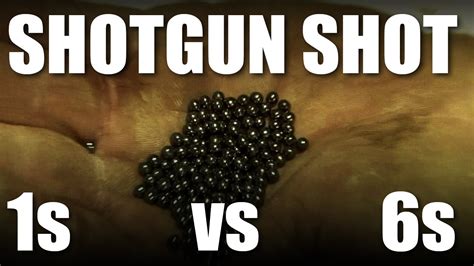 Shotgun Shot Size 1s Vs Size 6s Youtube