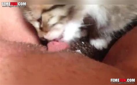 Inventive Mom Finds Way To Make Adorable Kitten Lick Her XXX Clit XXX