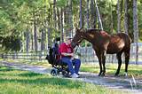 Pictures of Therapy Using Horses