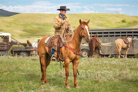 20 Photos Of Cowboys Ii Todd Klassy Photography