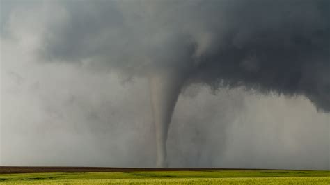 Tips Guides And Resources To Stay Safe During Wisconsins Tornado Season