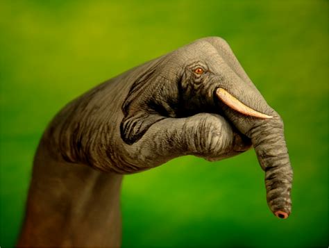 10 Human Hands Transformed Into Animal Faces Most Beautiful