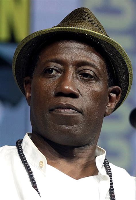 Wesley Snipes Net Worth Updated 2023 Inspirationfeed