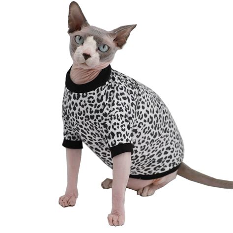 Sphynx Cats In Clothes Ubicaciondepersonascdmxgobmx