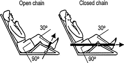 Experimental Setup Subjects Where Seated With 90° Hip Flexion And 30