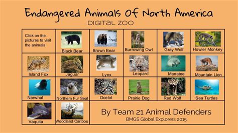 Endangered Animals Of North America Digital Zoo Endangered Animals