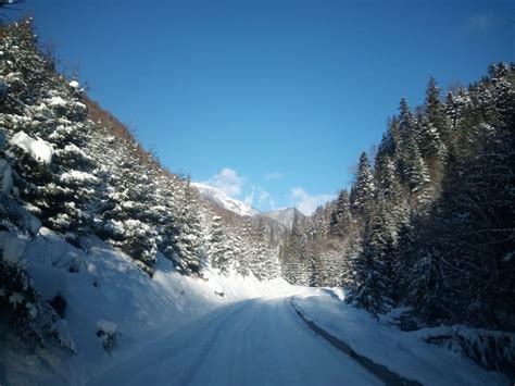 Foto Pauza De Respirație Iarna în Munții Rodnei Peisaje Spectaculoase