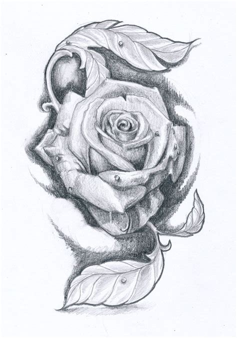 Drawing Rose Tattoo Design