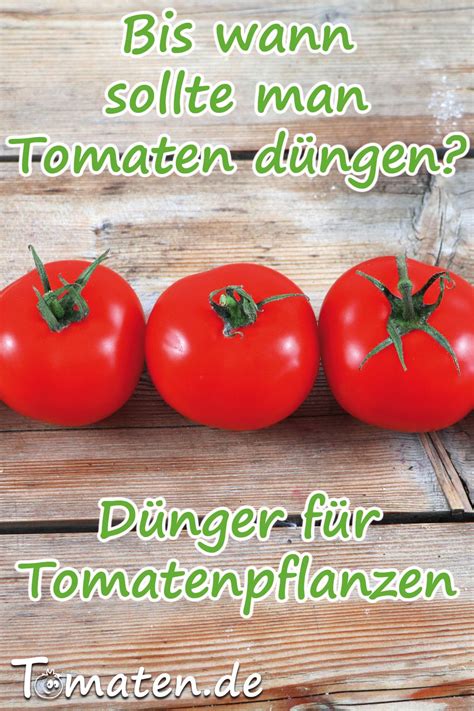 Dünge sticks für tomaten und erdbeeren azet / 40 stück. Bis wann sollte man Tomaten düngen? | Tomaten ...