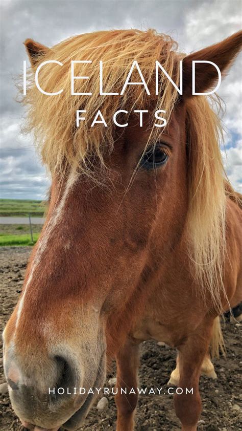 15 Iceland Facts Holiday Runaway Iceland Facts Iceland See The