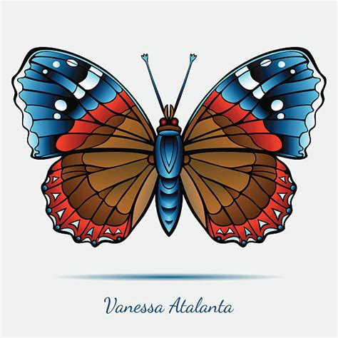 Vanessa Atalanta Clipart 20 Free Cliparts Download Images On