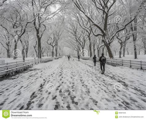 Central Park New York City Snow Storm Editorial Image Image Of Town