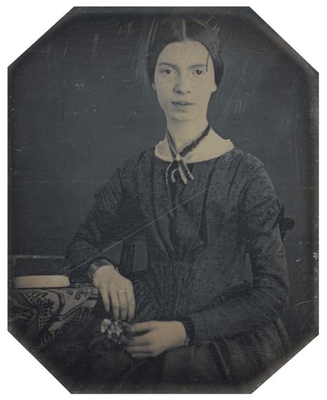 8 facts about emily dickinson the enigmatic 19th century american poet my modern met