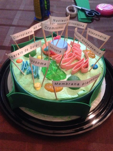 Check spelling or type a new query. 20+ Plant Cell Model Ideas Your Students Find Them ...