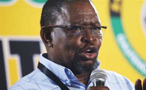 Godongwana was born in cala in the eastern cape and matriculated from st john's college in mthatha. ANC reaches resolution on land reform | The Herald
