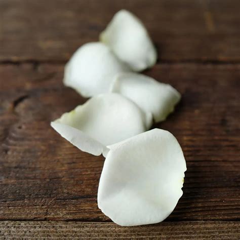 Wholesale White Rose Petals ᐉ Bulk White Rose Petals Online In Fiftyflowers