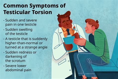 Testicular Torsion Overview And Avoiding A Dead Testicle