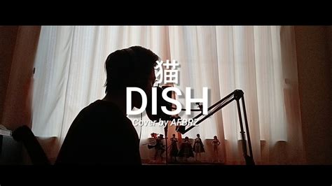 Dish 猫 Neko Cover By Afbrz Youtube