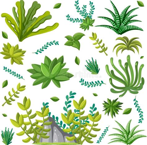 Various Plants Seamless Pattern Stock Vector Illustration Of Green