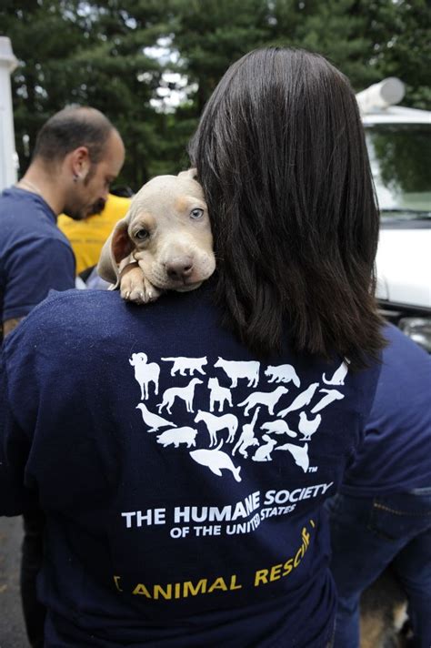 The Hsus Animal Rescue Team S The Humane Society Of The United