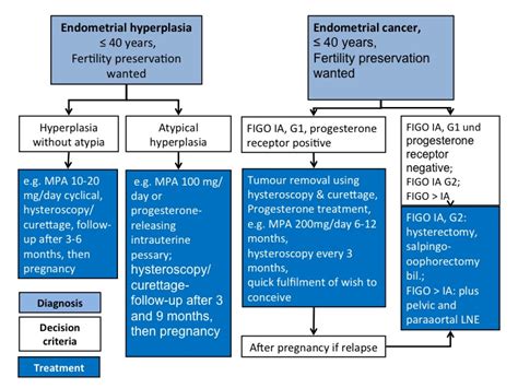 Causes, risks factors, and prevention. Endometrial cancer — FertiPROTEKT