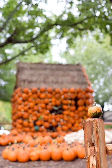Cheekwood Harvest A Fall Must Do In Nashville Fall Themed Gardens A