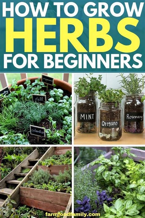To Start Your Herb Garden Design Process Youll Need Two Lists Your