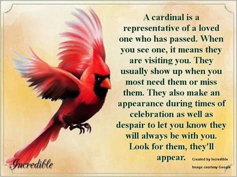 The perfect figure of the circle with central point, the source of life. Csrdinal represents deceased. | Birds, Cardinal birds, Red ...