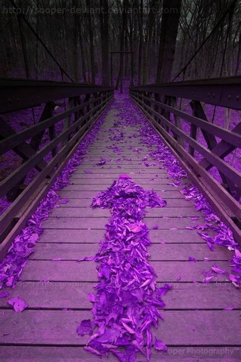 1000 Images About All Things Purple On Pinterest