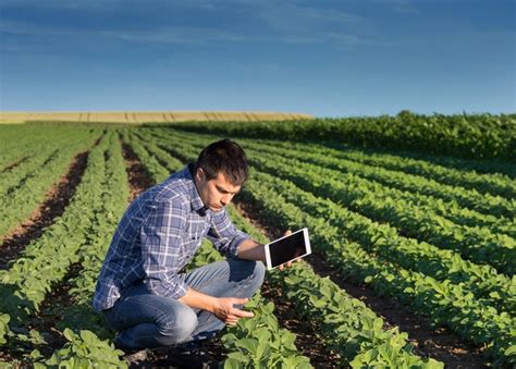 os caminhos do agrônomo o dia profissão certa