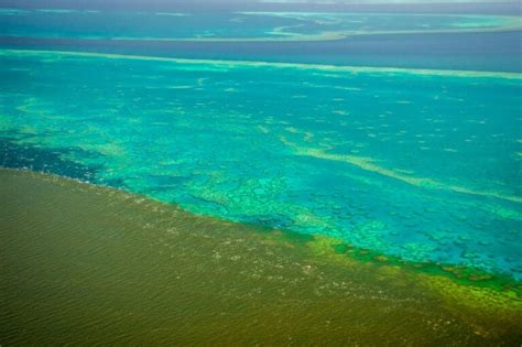 Fears Flood Water Runoff Could Smother Barrier Reef